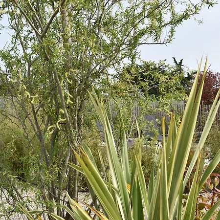 L'ile Sous Le Vent 3*