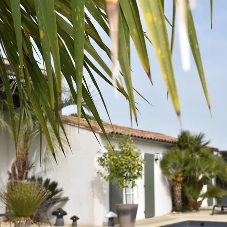 L'ile Sous Le Vent 3*