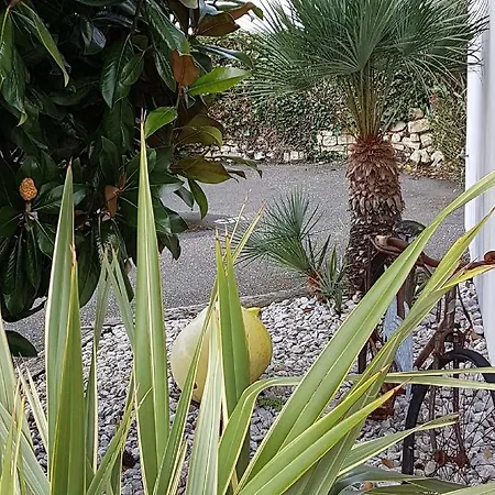 L'ile Sous Le Vent 3* Sainte-Marie-de-Ré