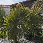 L'ile Sous Le Vent ホテル 3*