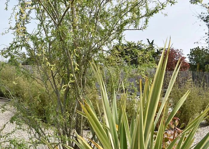 L'ile Sous Le Vent 3*