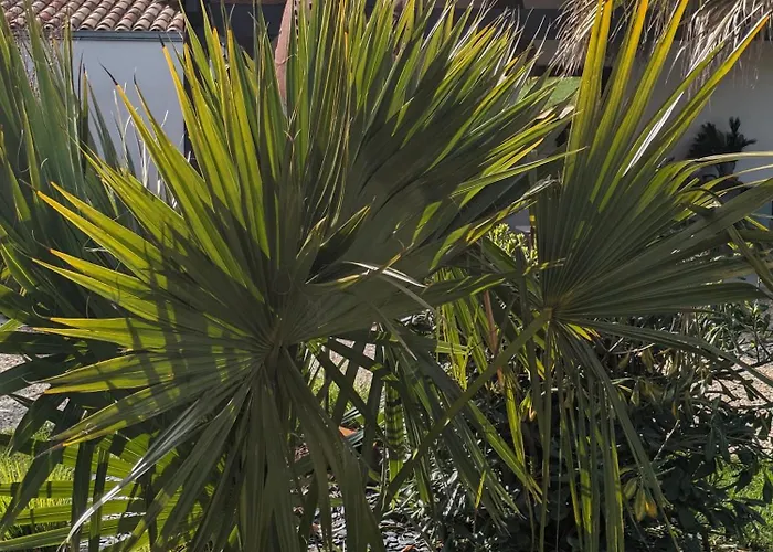 L'ile Sous Le Vent Hotel 3*