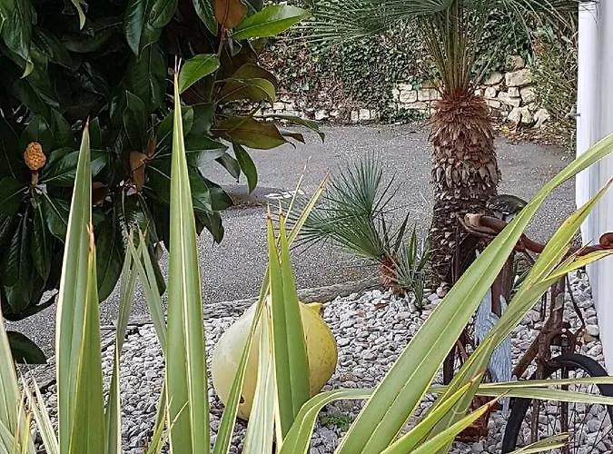 L'ile Sous Le Vent 3* Sainte-Marie-de-Ré